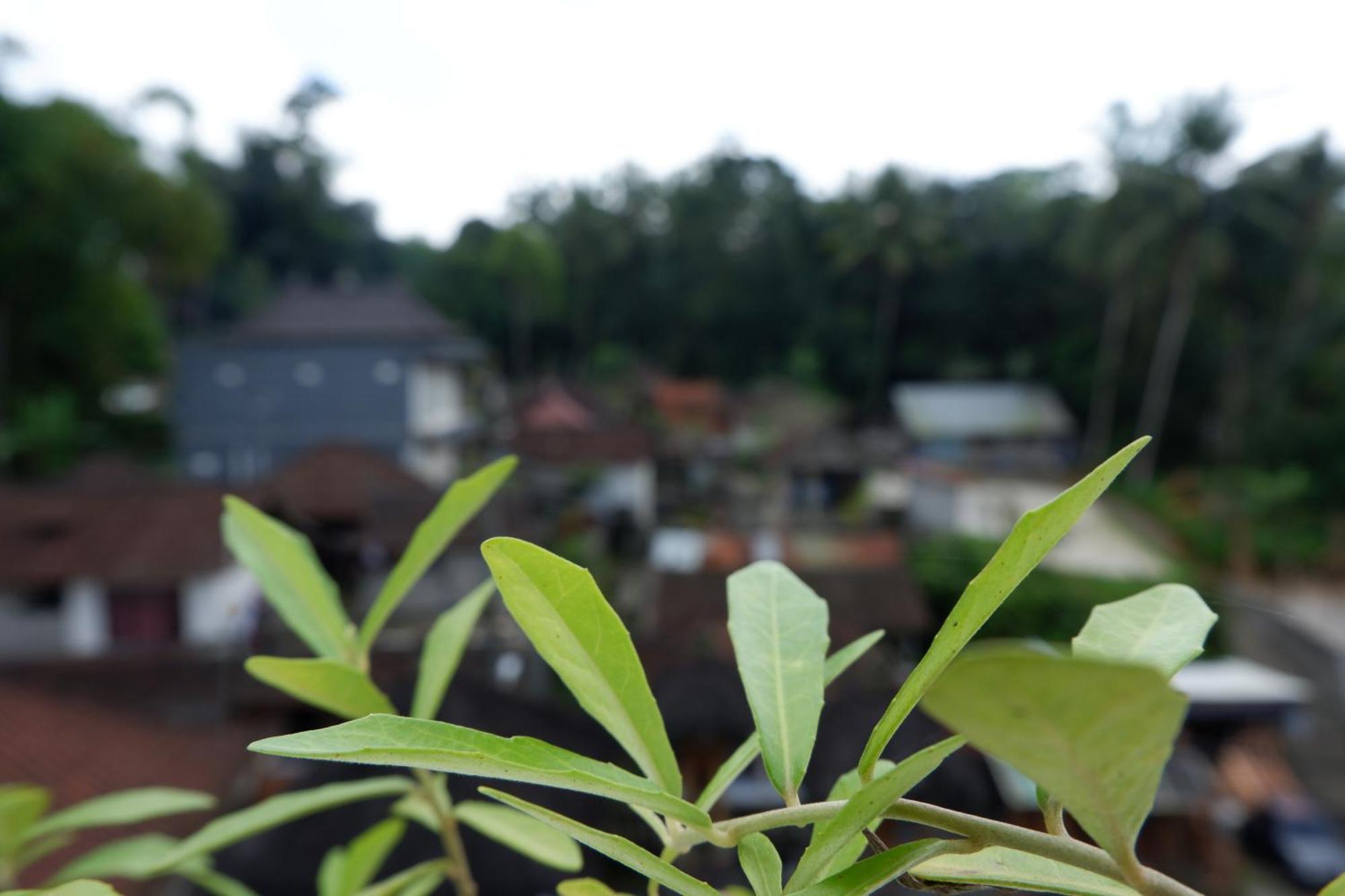 Ramaya Ubud View By Eps Buitenkant foto