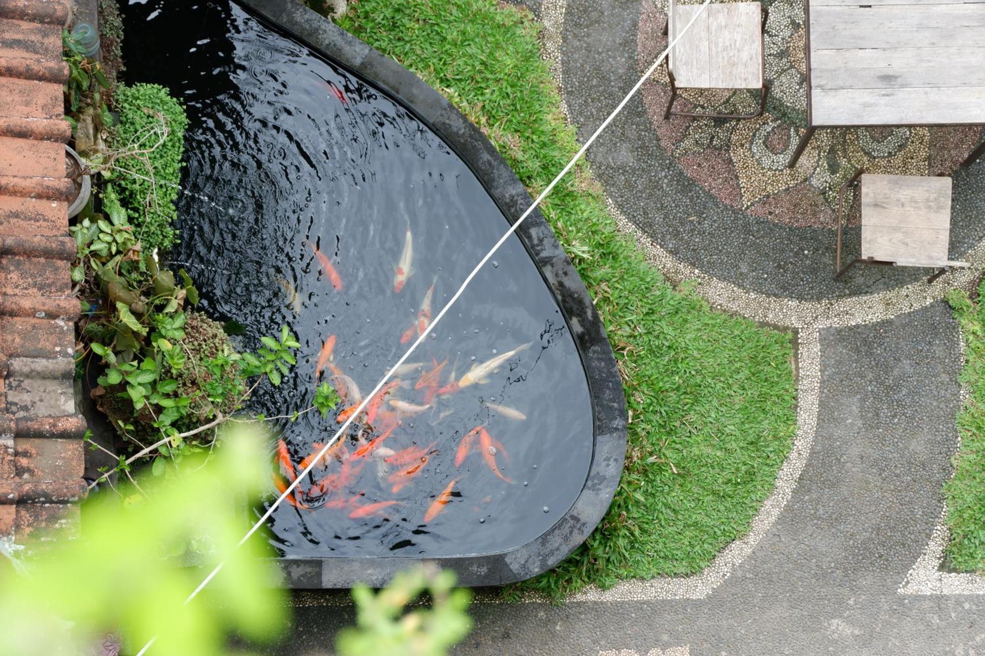 Ramaya Ubud View By Eps Buitenkant foto